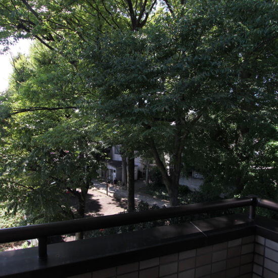 洋室2階眺望 洋室2階眺望